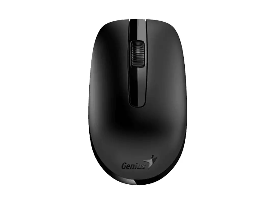 wireless mouse genius model NX-7007